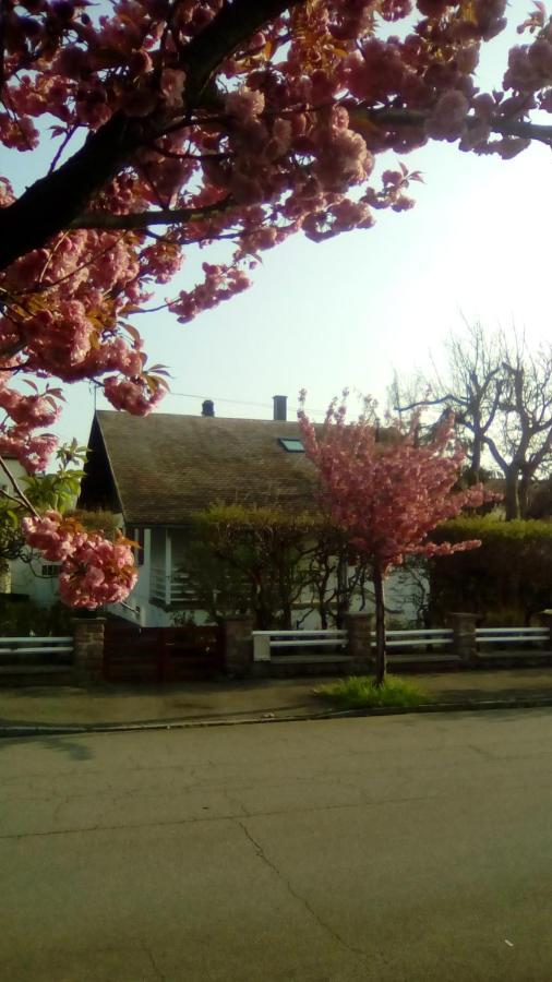 Villa Chalet Montsegur Colmar Exterior foto